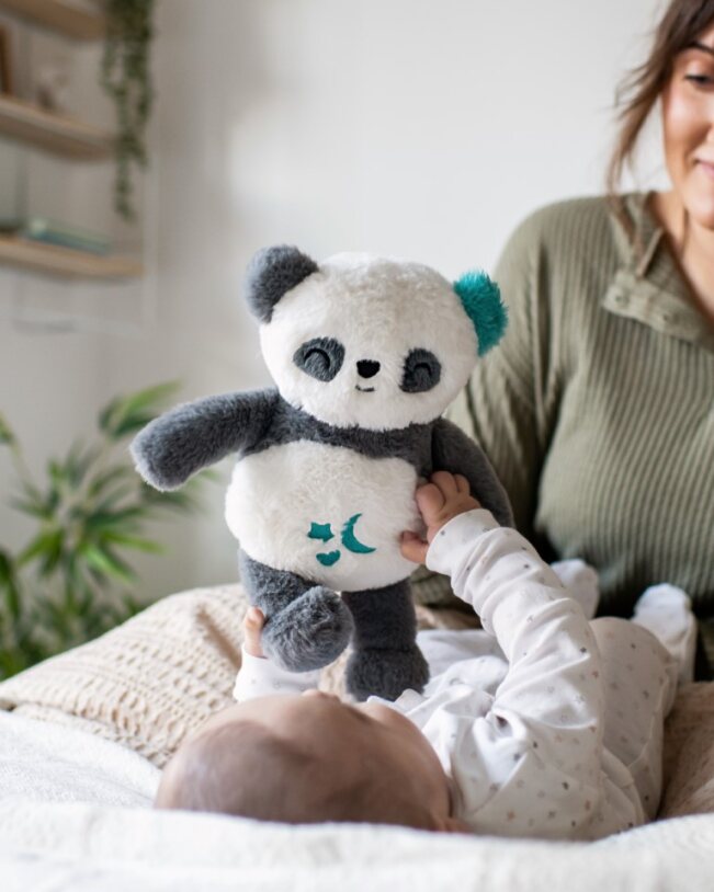 Tommee Tippee Pip Panda plüss altató és fehérzaj-generátor