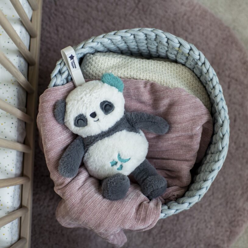 Tommee Tippee Pip Panda plüss altató és fehérzaj-generátor