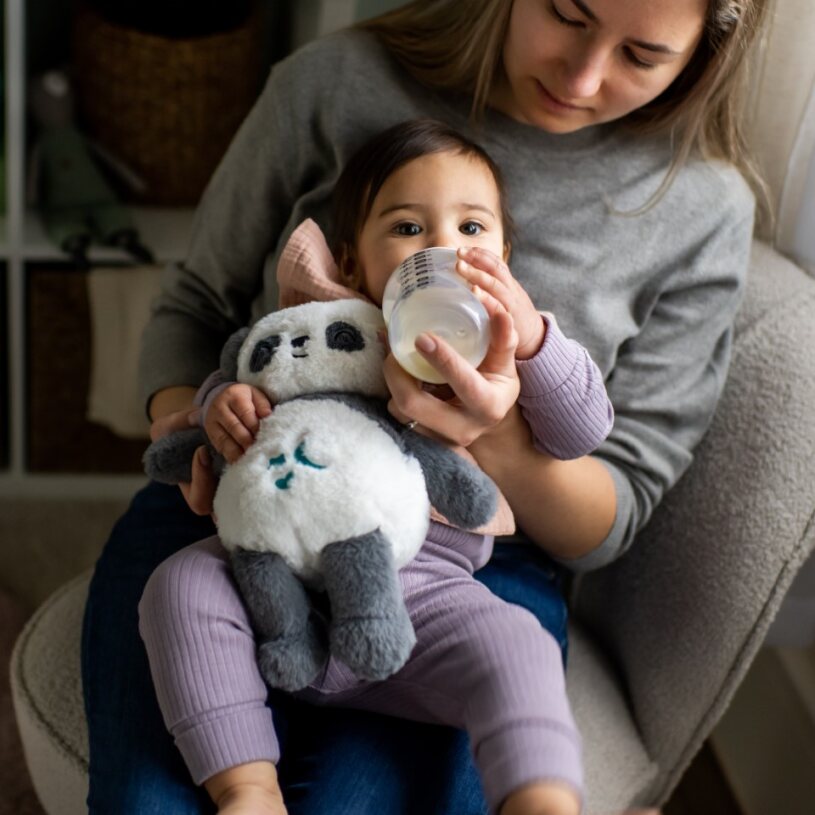 Tommee Tippee Pip Panda plüss altató és fehérzaj-generátor