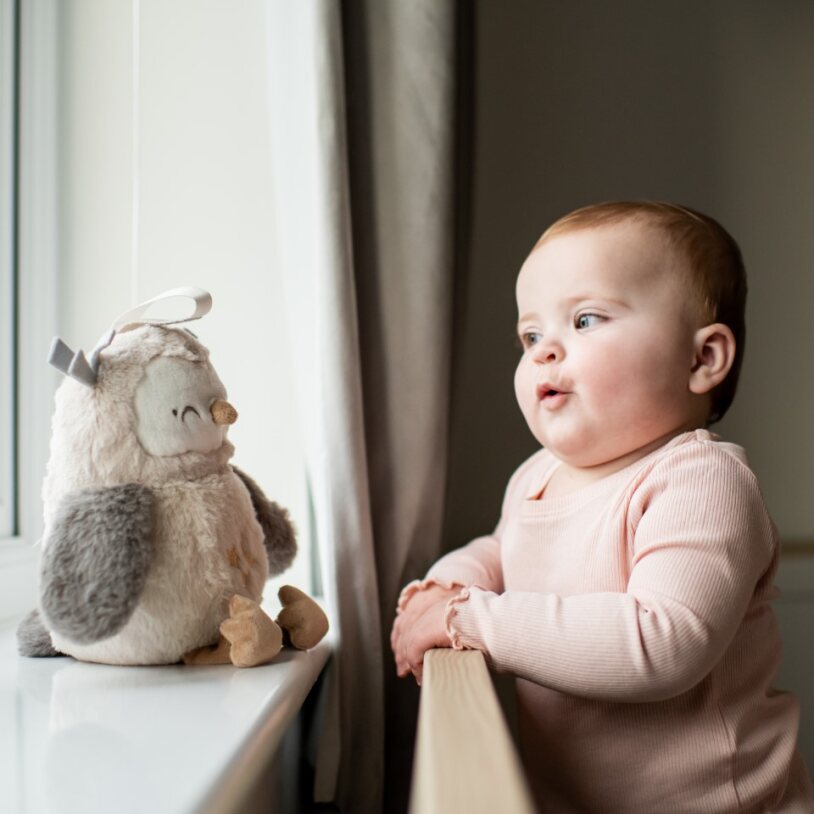 Tommee Tippee Ollie Bagoly plüss altató és fehérzaj-generátor