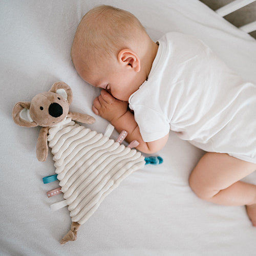 BabyOno KOALA CHARLIE szundikendő és plüss