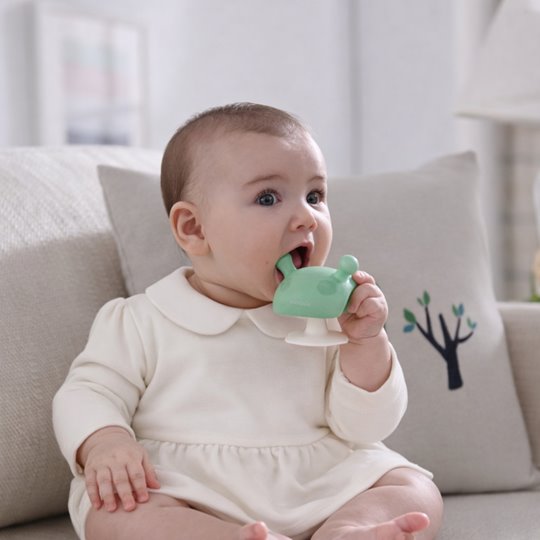 Mombella Nyugtató Gomba Rágóka Eukaliptusz Zöld