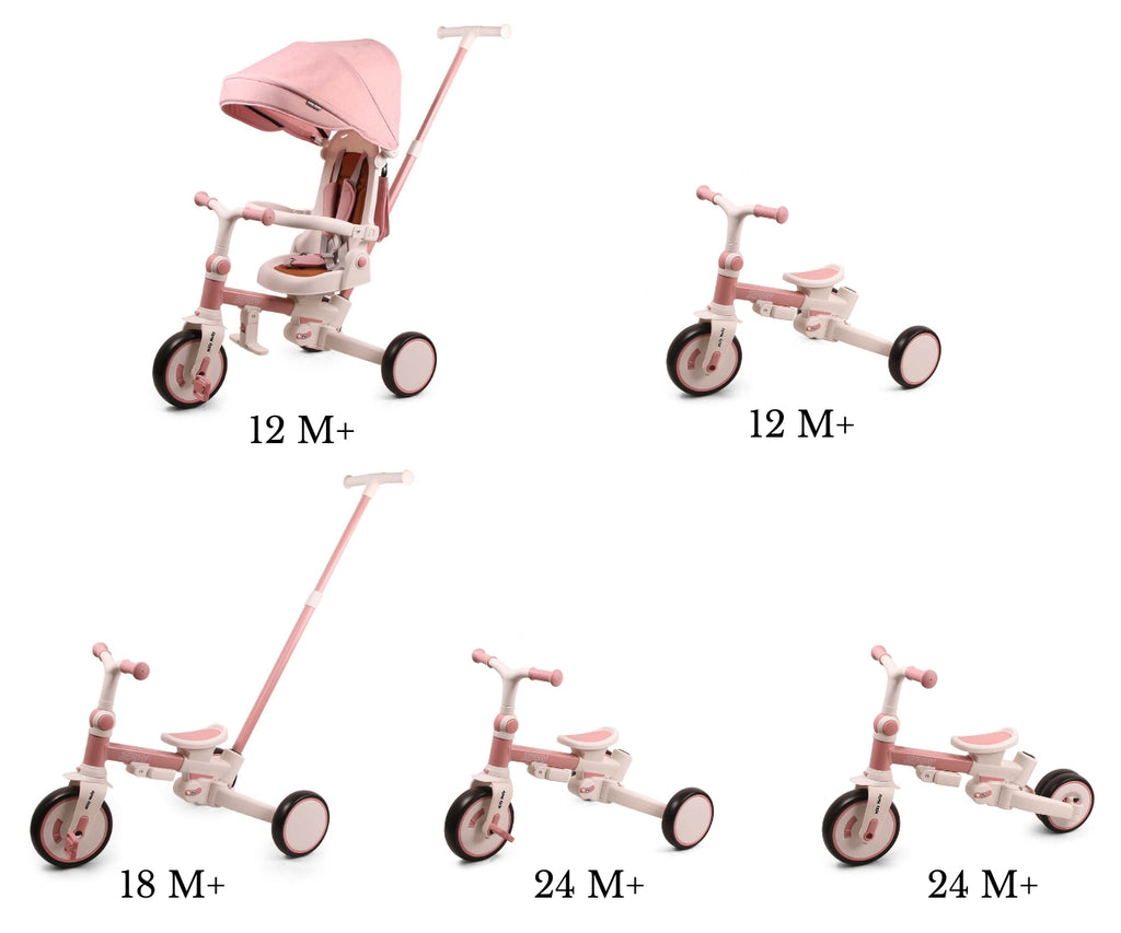 Milly Mally Zippy 5 az 1-ben tricikli – Pink