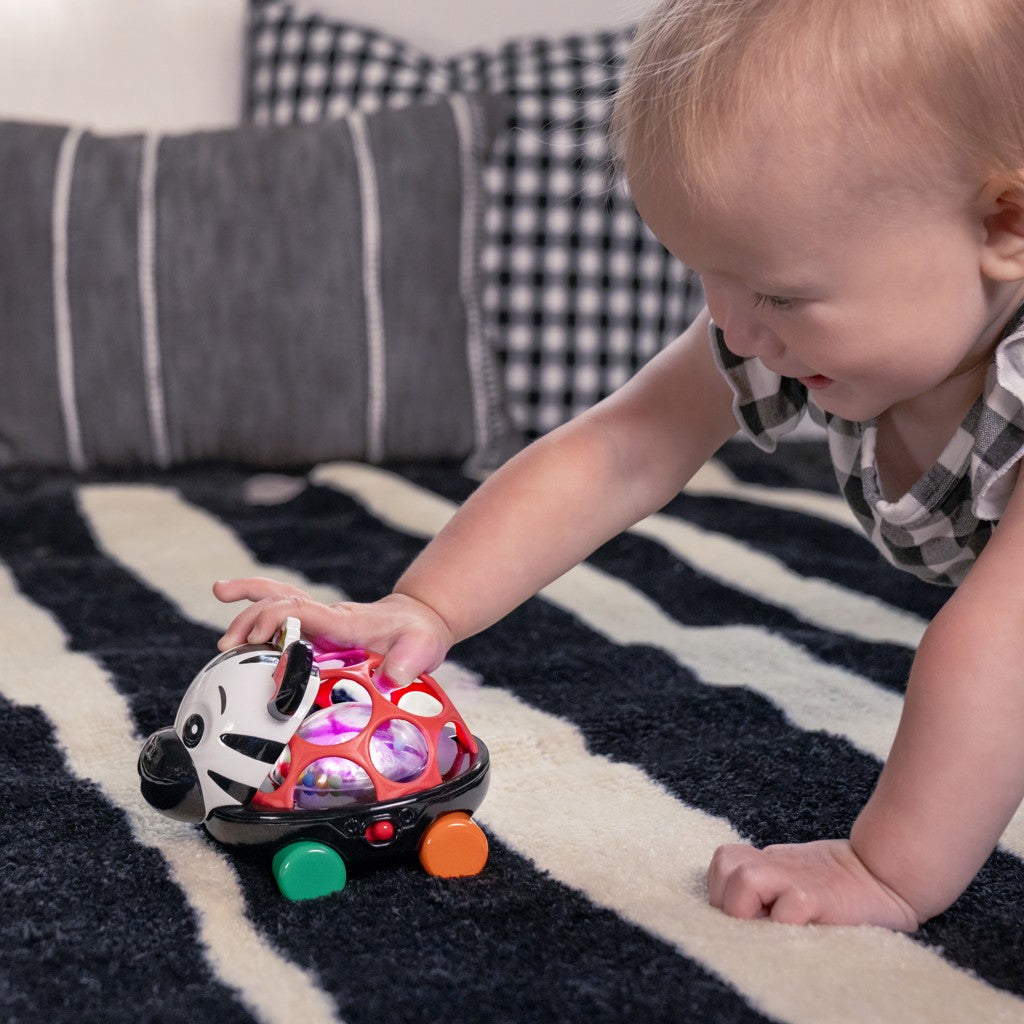 Oball Curious Car Zen Zebra fejlesztó játék – Baby Einstein